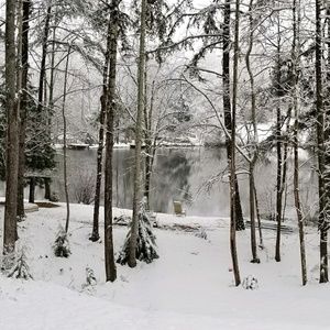 Meet your Posher, Alycia